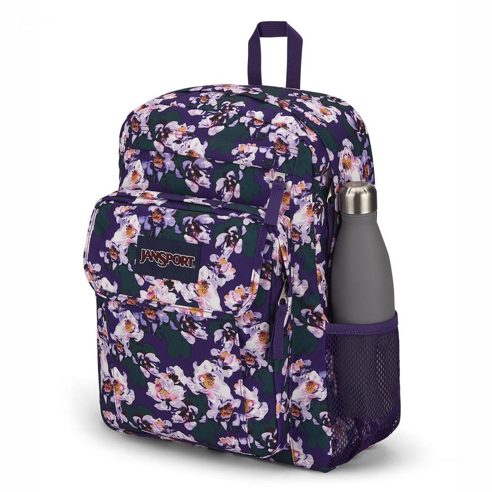 Sac à Dos Ordinateur JanSport UNION PACK Violette | WBL-93711274